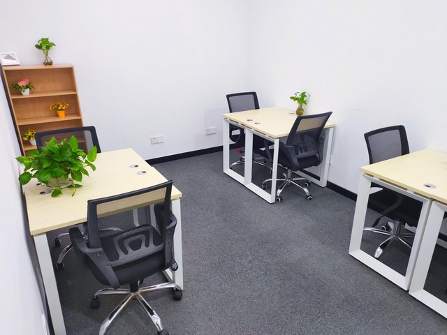 上海办公室盆景绿植租赁诚信推荐